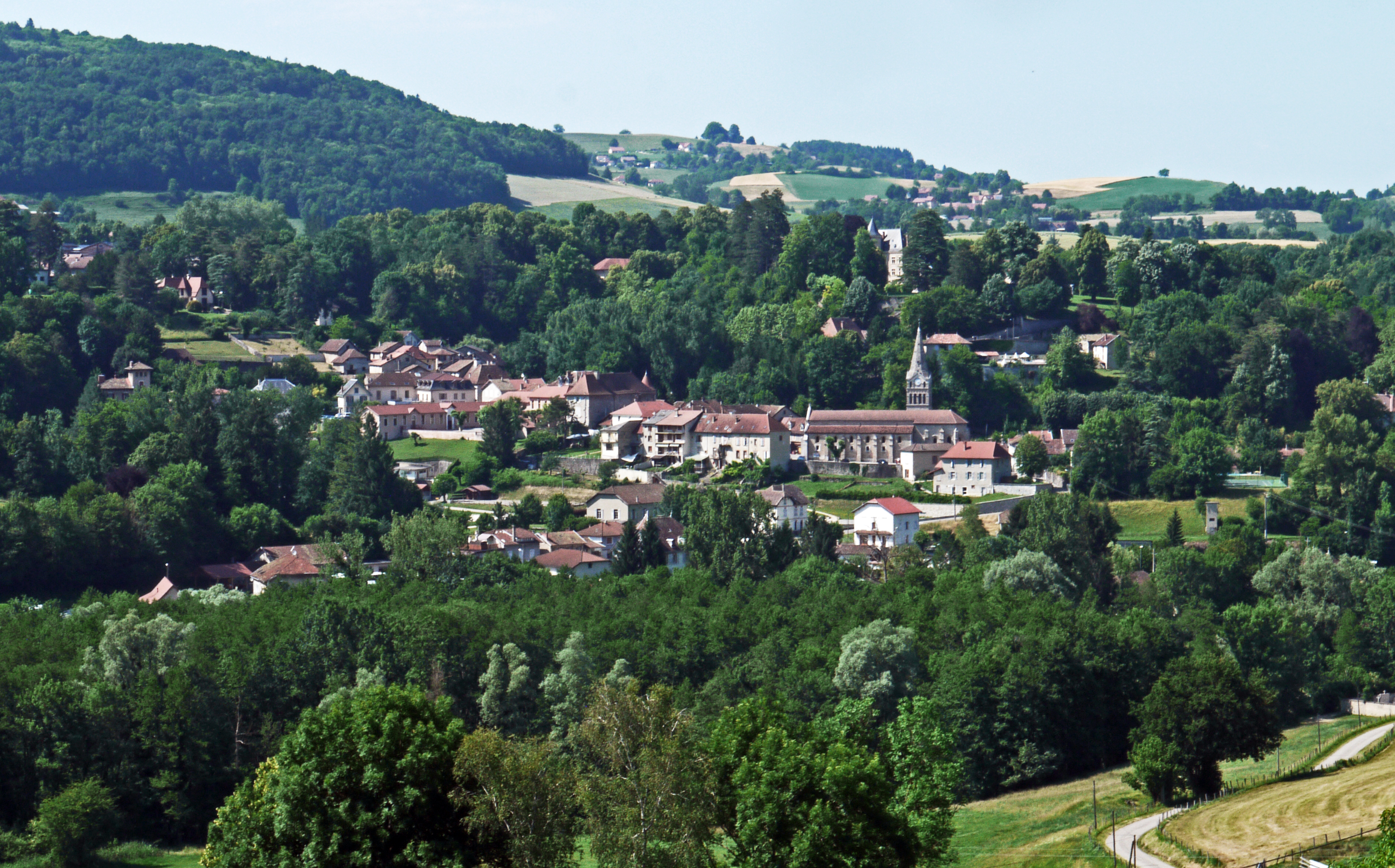 Vue générale de Saint-Geoire-en-Valdaine.
