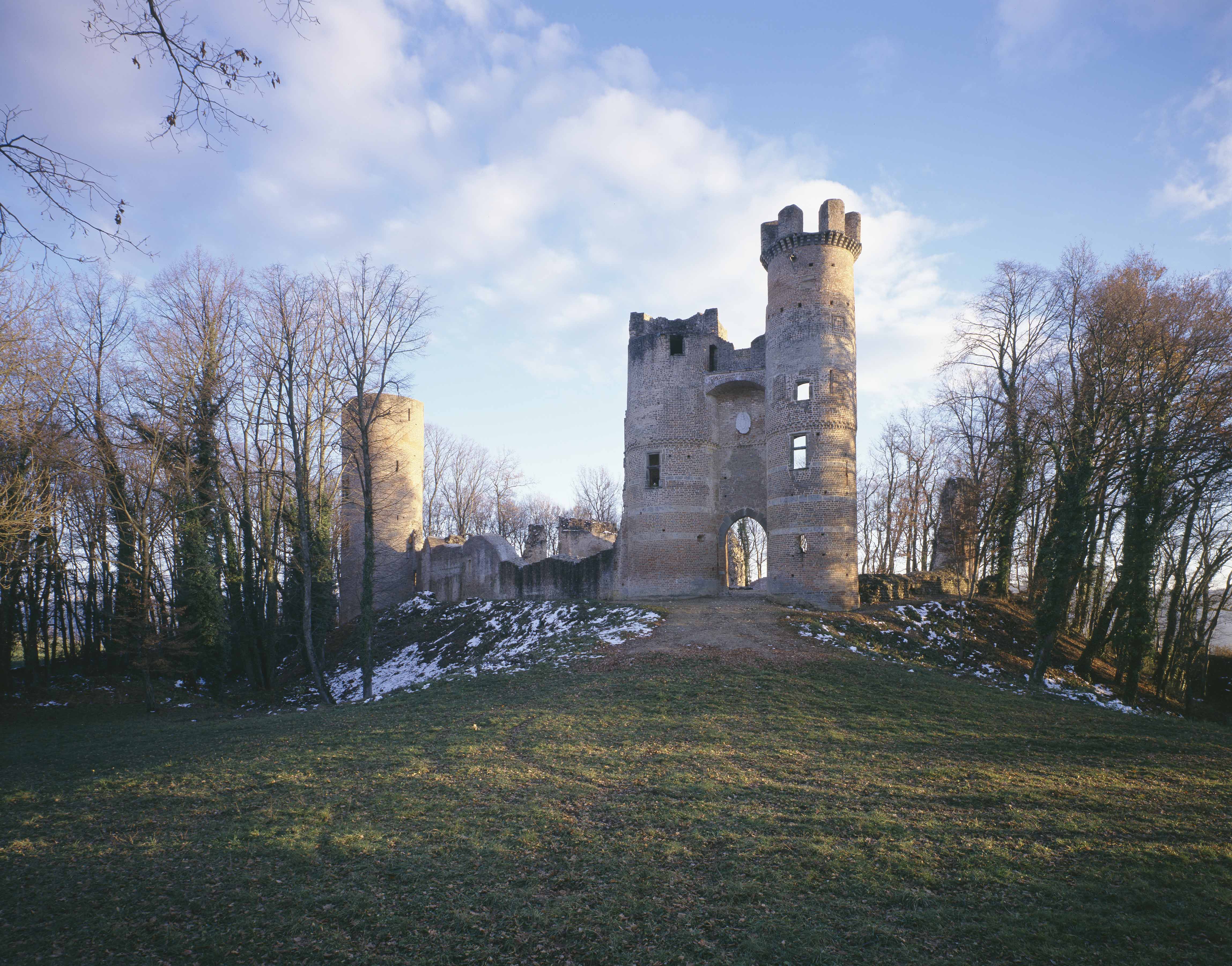 Chateaux Forts En Isere