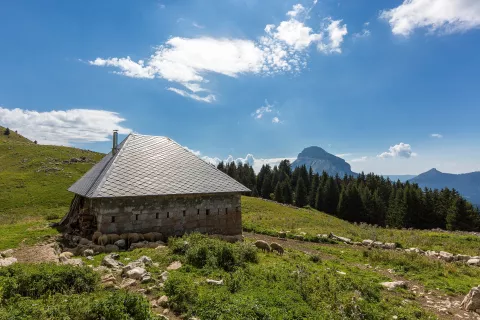 Habert de Pravouta © B.Bodin