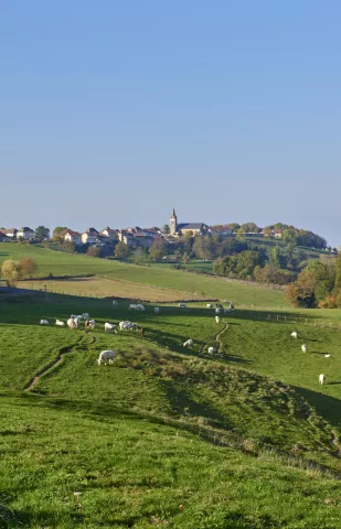 Village de Saint-Geoire-en-Valdaine © D. Lachas