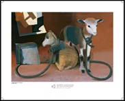 Deux agneaux sont attachés par une corde à un cailloux © Département de l'Isère