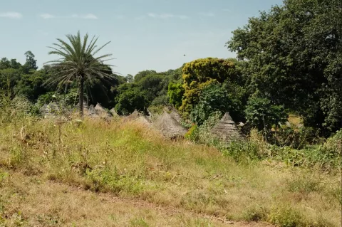 Une prochaine exposition au Musée Dauphinois dédiée au Pays Bassari © Musée Dauphinois