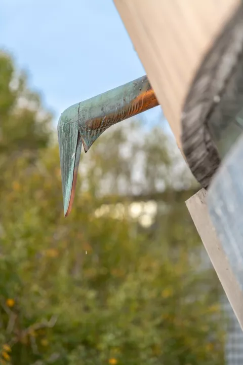 Gargouille en cuivre, église Saint-Jean, Grenoble © David Richallet