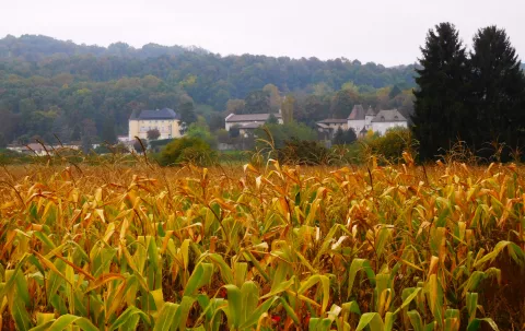 Vue générale, château et église, Vourey © Patrimoine culturel-Département de l'Isère