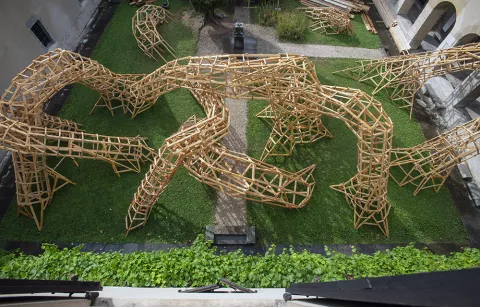 Installation de la structure en bois Installation de la structure en bois