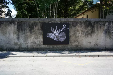 Cerf en noir et blanc de Philippe Baudelocque