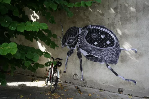 Coccinelle de Philippe Baudelocque sur mur de la cour du musée