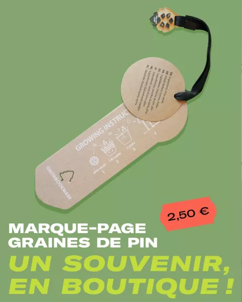 Marque-page graines de pin