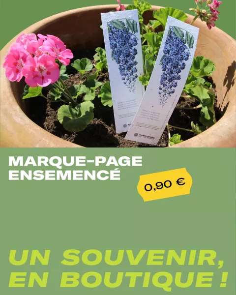 Marque-page ensemencé