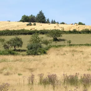 Charbonnieres, Bourgoin © Patrimoine culturel-CD38