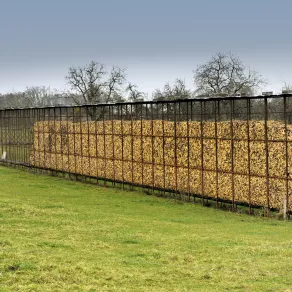 Corbelin © D.Richalet