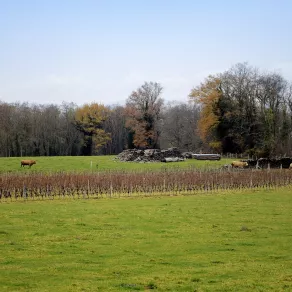 Corbelin © D.Richalet