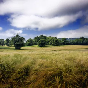 Saint-Jean-d'Avelanne © David Richalet