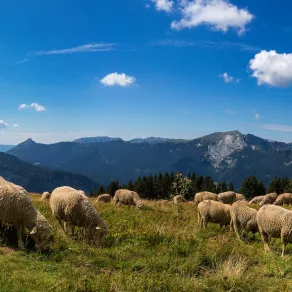 Chartreuse, secteur de Pravouta © B.Bodin