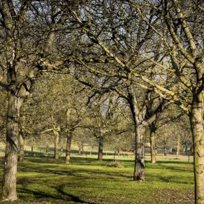 Vignieu © David Richalet