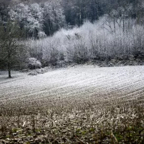 Vignieu © David Richalet