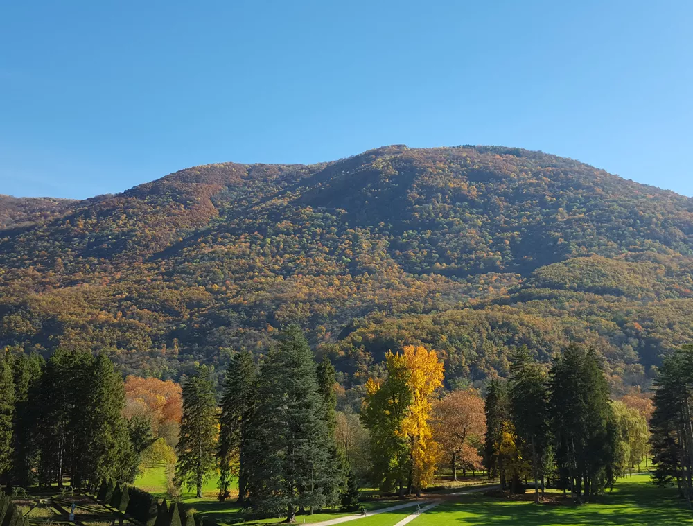 Parc du domaine de Vizille en automne © Département de l'Isère