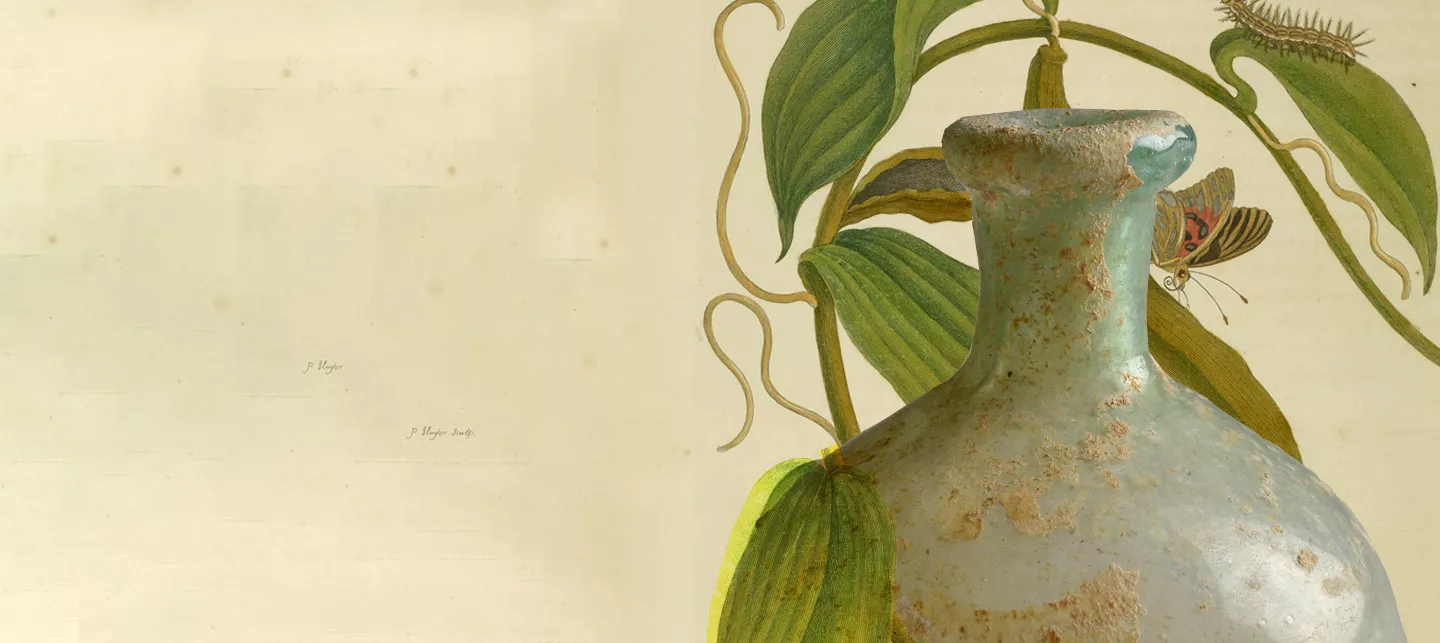 slideshow parfums d'histoire