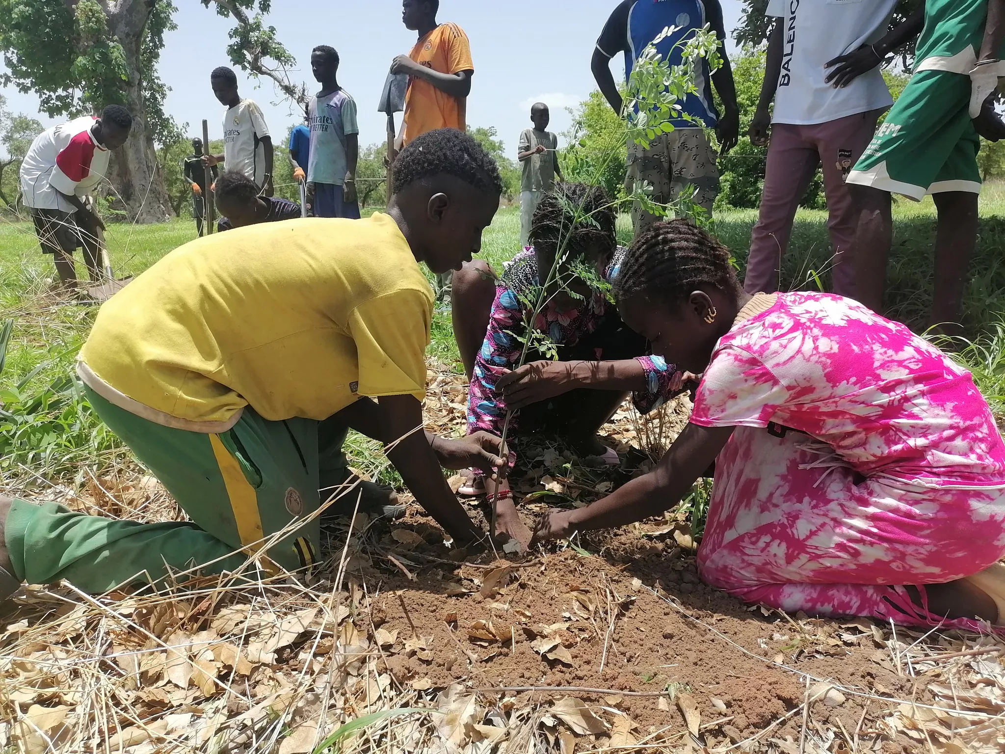Reboisement dans les villages la RNCB, dans le cadre du projet « 1 arbre 1 habitant » © CORENA