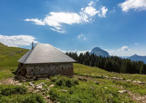 Habert de Pravouta © B.Bodin