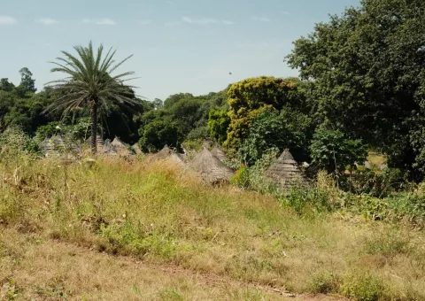 Une prochaine exposition au Musée Dauphinois dédiée au Pays Bassari © Musée Dauphinois