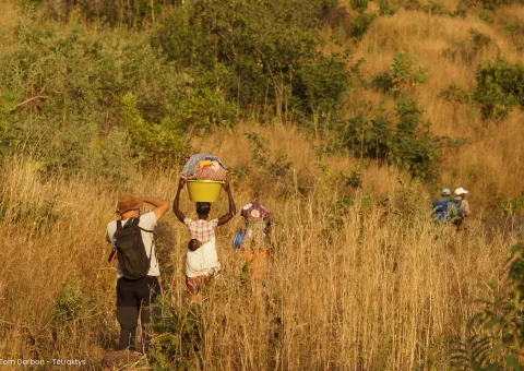Sur la Piste du Caméléon © Tom Darbon