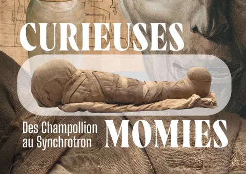 affiche curieuses momies