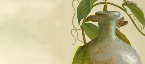 slideshow parfums d'histoire