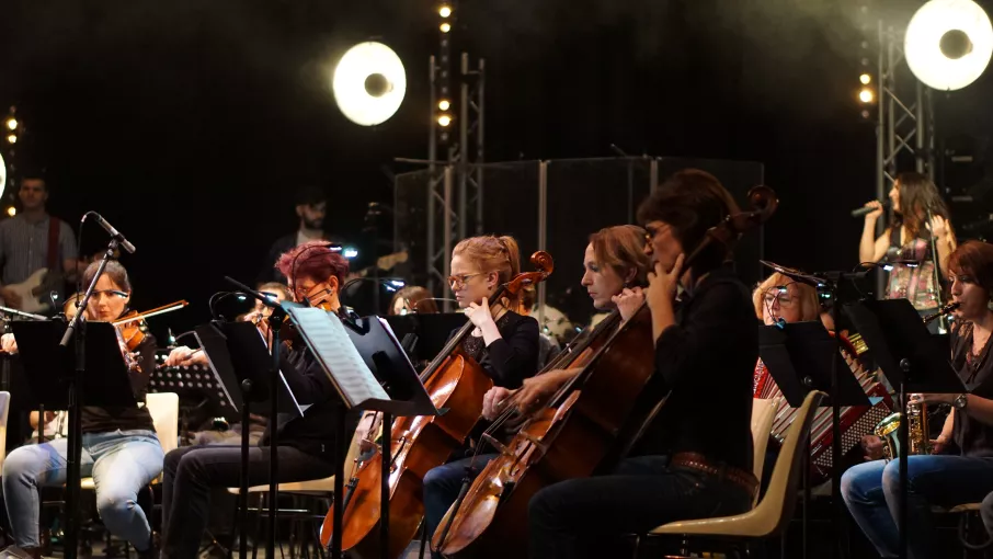 Musiciens dans un orchestre © Maison des pratiques artistiques de Vizille