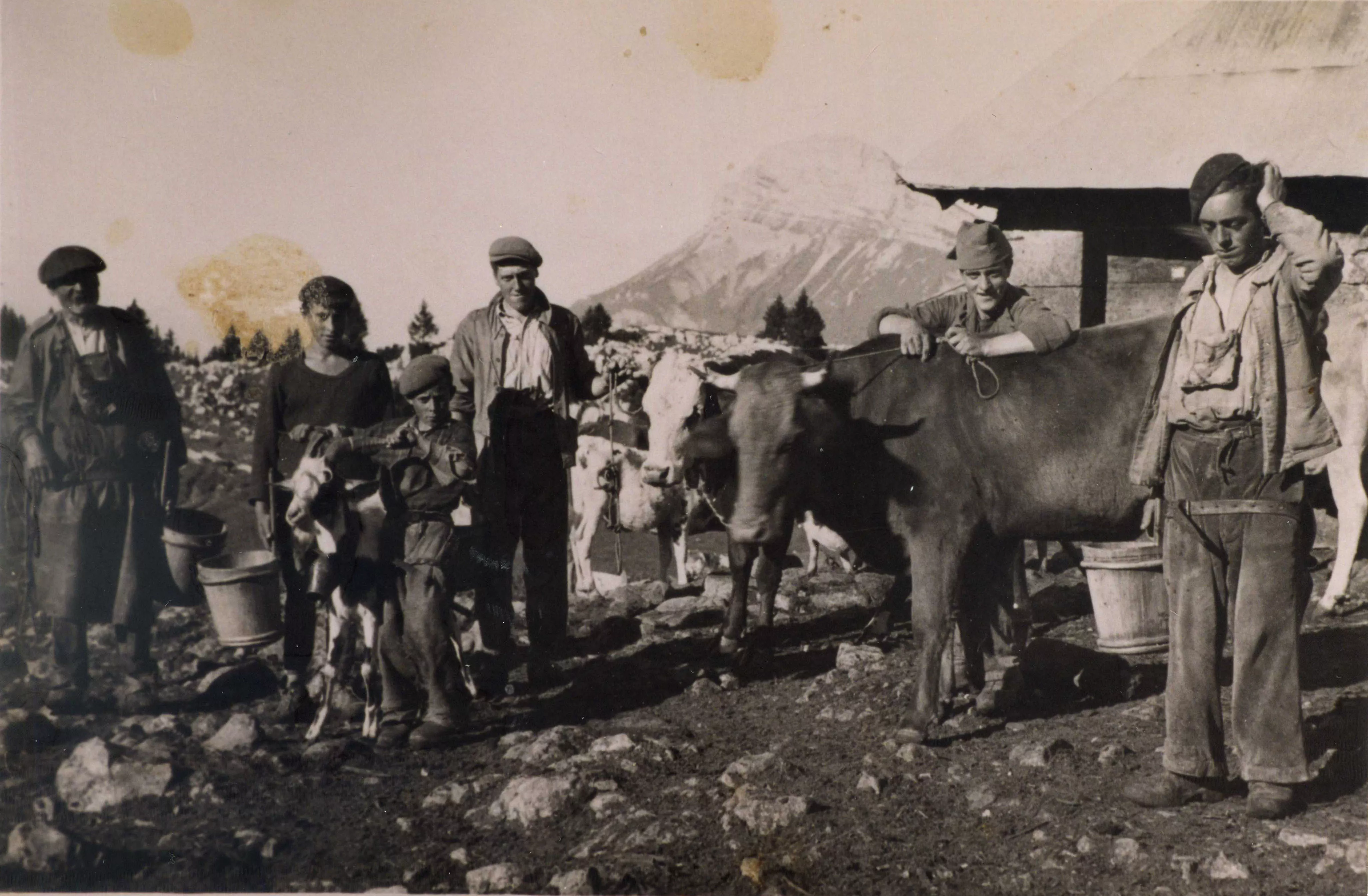 Les alpagistes à Pravouta en 1947 © M.Ferrier