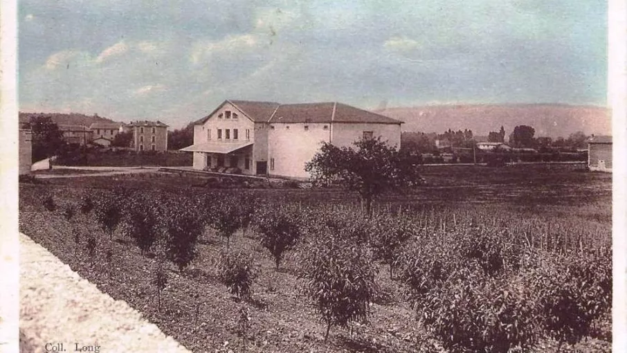 La cave coopérative de Chanas, carte postale sans date. © Patrimoine culturel