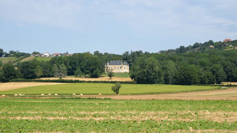 Chateau d'Armanais © Patrimoine culturel-CD38