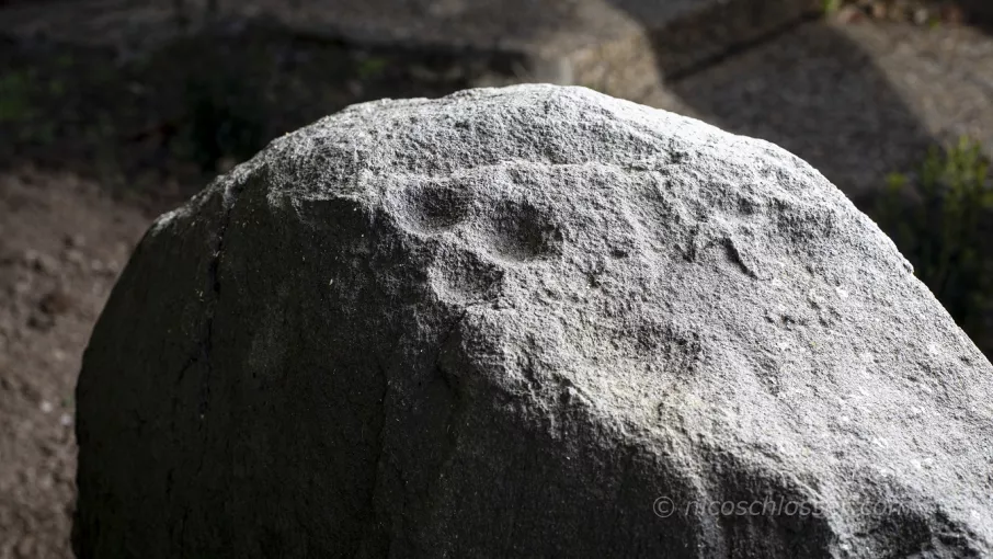 Photo © N. Schlosser