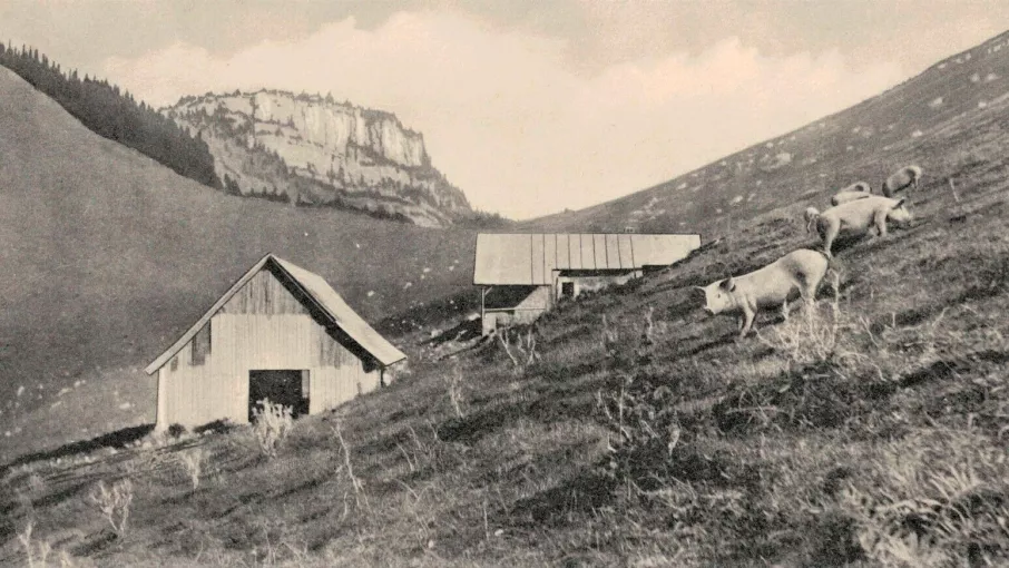 Photogravure, habert des Ayes © Patrimoine culturel-CD38 don Alain Thorand