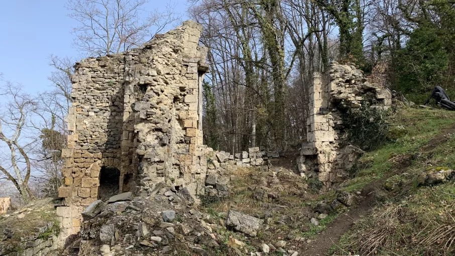 Vestiges de l'ancien prieuré de Saint-Michel-de-Connexe © Patrimoine culturel-CD38