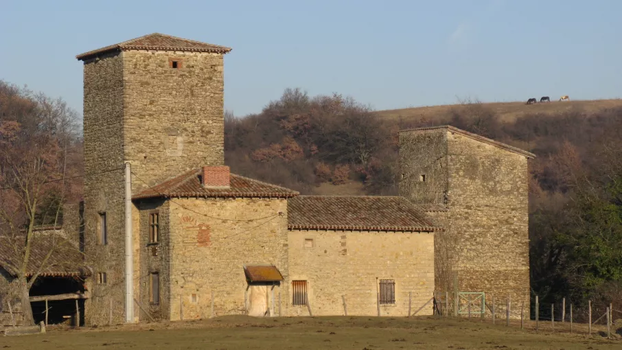 Maison forte des Allinges, Saint-Quentin-Fallavier © Patrimoine culturel-CD38
