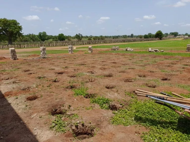 Création d’une micro-forêt de 120 arbres dans la cour du collège de Koussan. ©Tétraktys