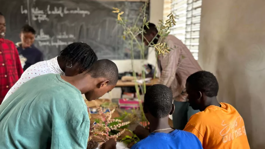 Atelier de création à partir de la flore locale © Tetraktys