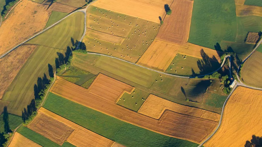 "" © Fréderick Pattou