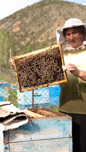 Apiculture en Arménie
