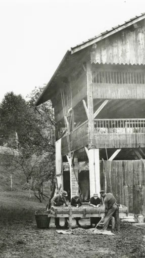Séchoir autonome photographié dans les années 1930, Tullins ©  Coll. Musée dauphinois – Département de l’Isère 