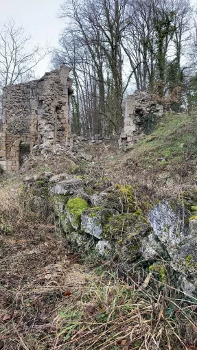 Vestiges de l'ancien prieuré de Saint Michel de Connexe © Patrimoine culturel-CD38